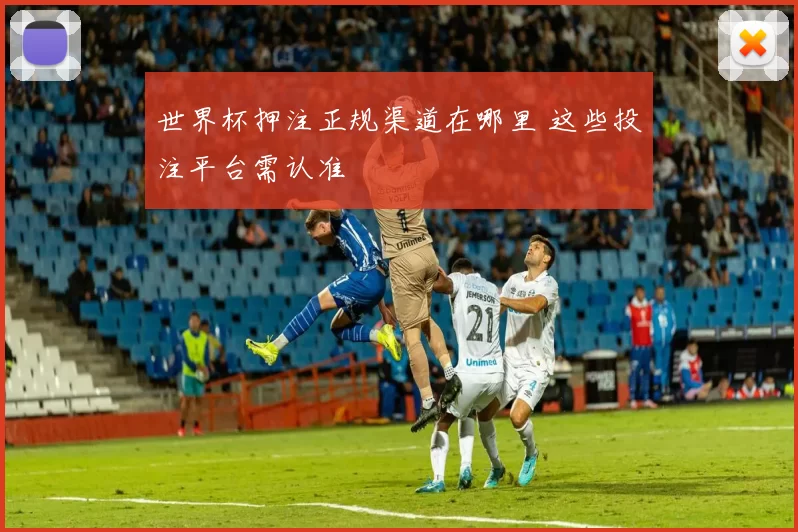 世界杯押注正规渠道在哪里 这些投注平台需认准