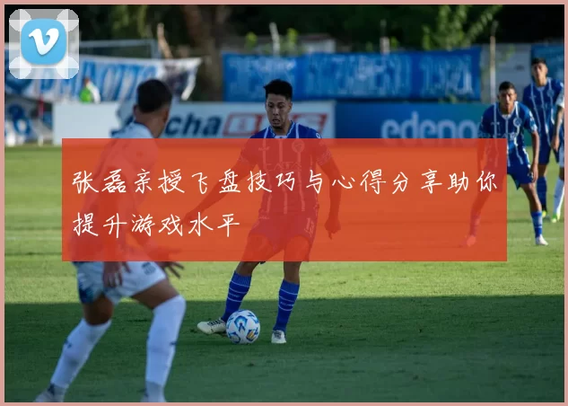 张磊亲授飞盘技巧与心得分享助你提升游戏水平