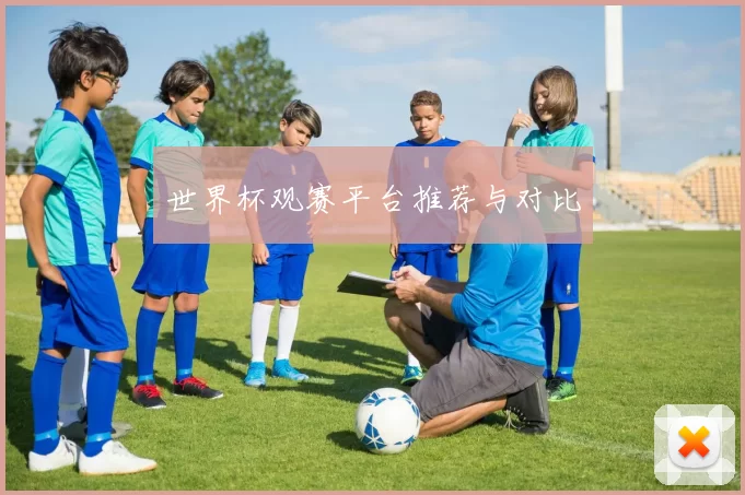世界杯观赛平台推荐与对比