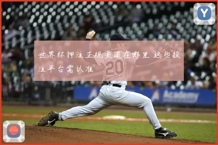 世界杯押注正规渠道在哪里 这些投注平台需认准