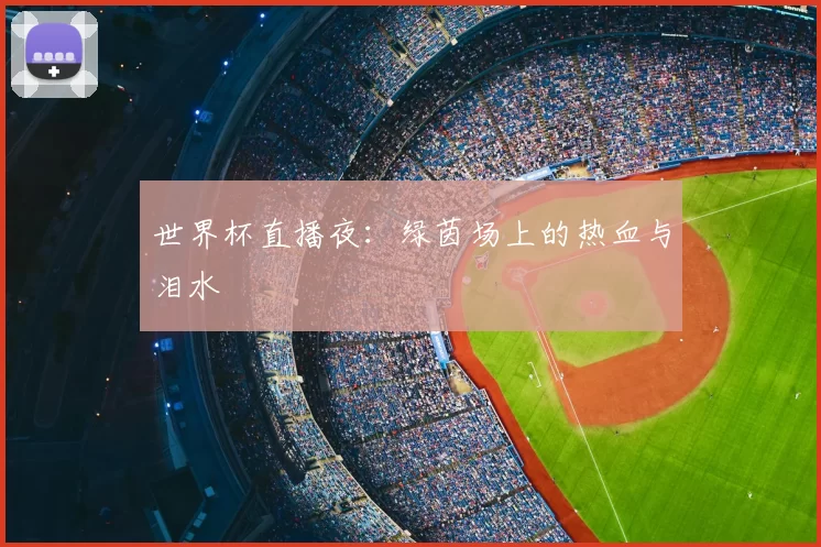 世界杯直播夜:绿茵场上的热血与泪水