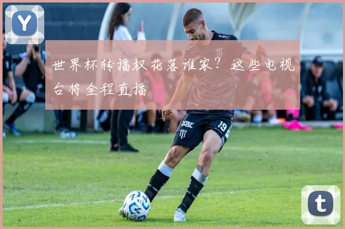 世界杯转播权花落谁家?这些电视台将全程直播