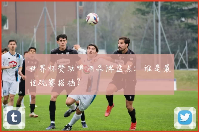 世界杯赞助啤酒品牌盘点:谁是最佳观赛搭档?
