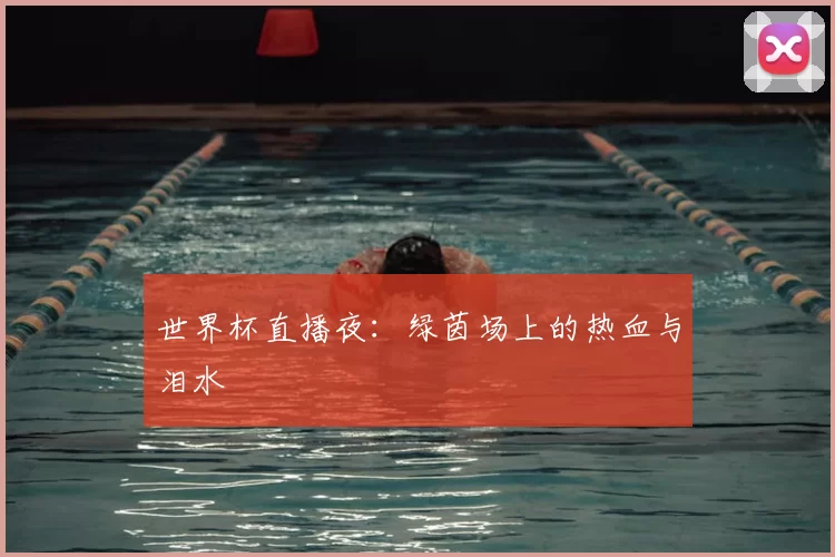 世界杯直播夜:绿茵场上的热血与泪水