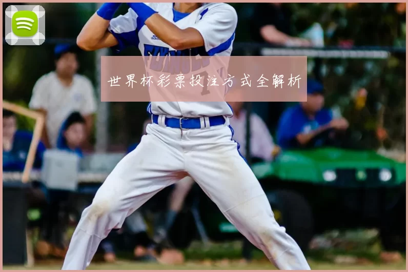 世界杯彩票投注方式全解析