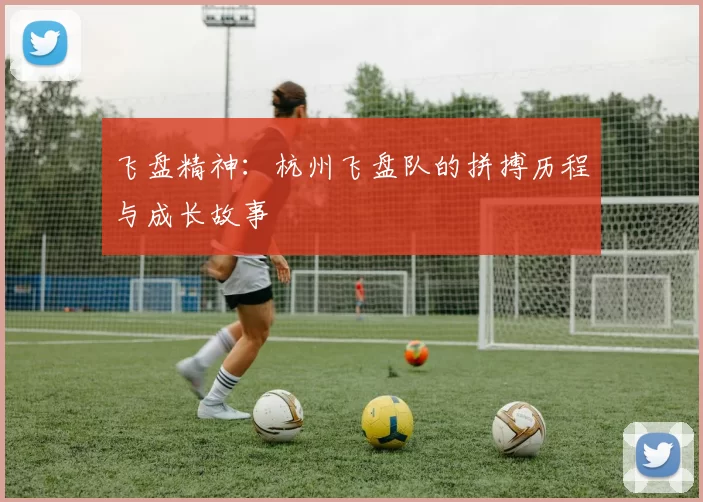 飞盘精神:杭州飞盘队的拼搏历程与成长故事