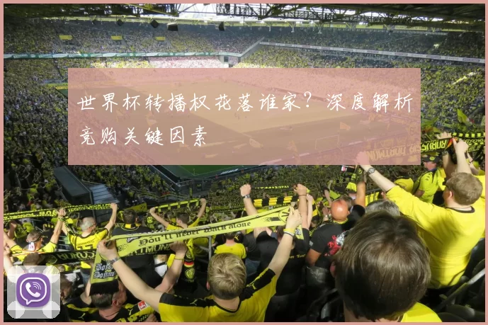 世界杯转播权花落谁家?深度解析竞购关键因素