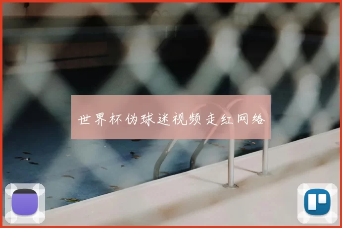 世界杯伪球迷视频走红网络