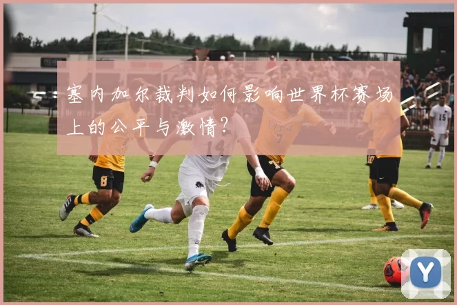 塞内加尔裁判如何影响世界杯赛场上的公平与激情?