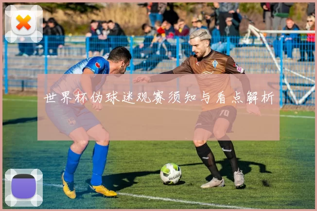 世界杯伪球迷观赛须知与看点解析