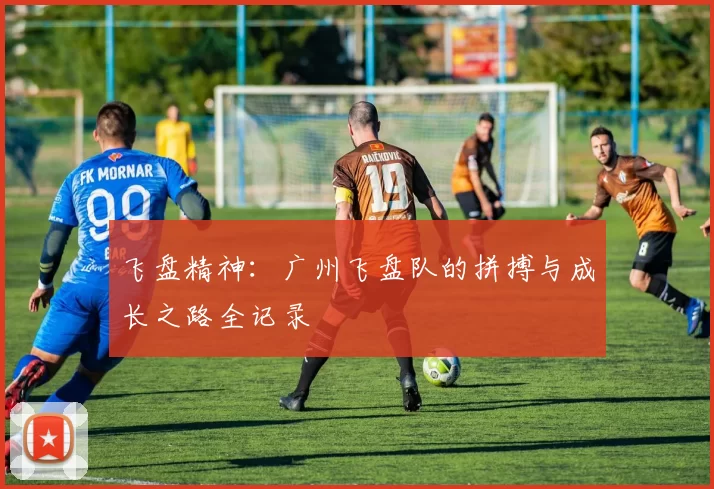 飞盘精神:广州飞盘队的拼搏与成长之路全记录