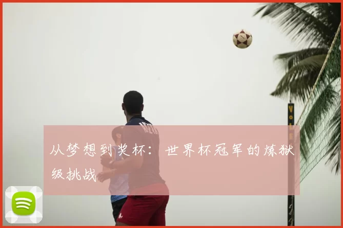 从梦想到奖杯：世界杯冠军的炼狱级挑战